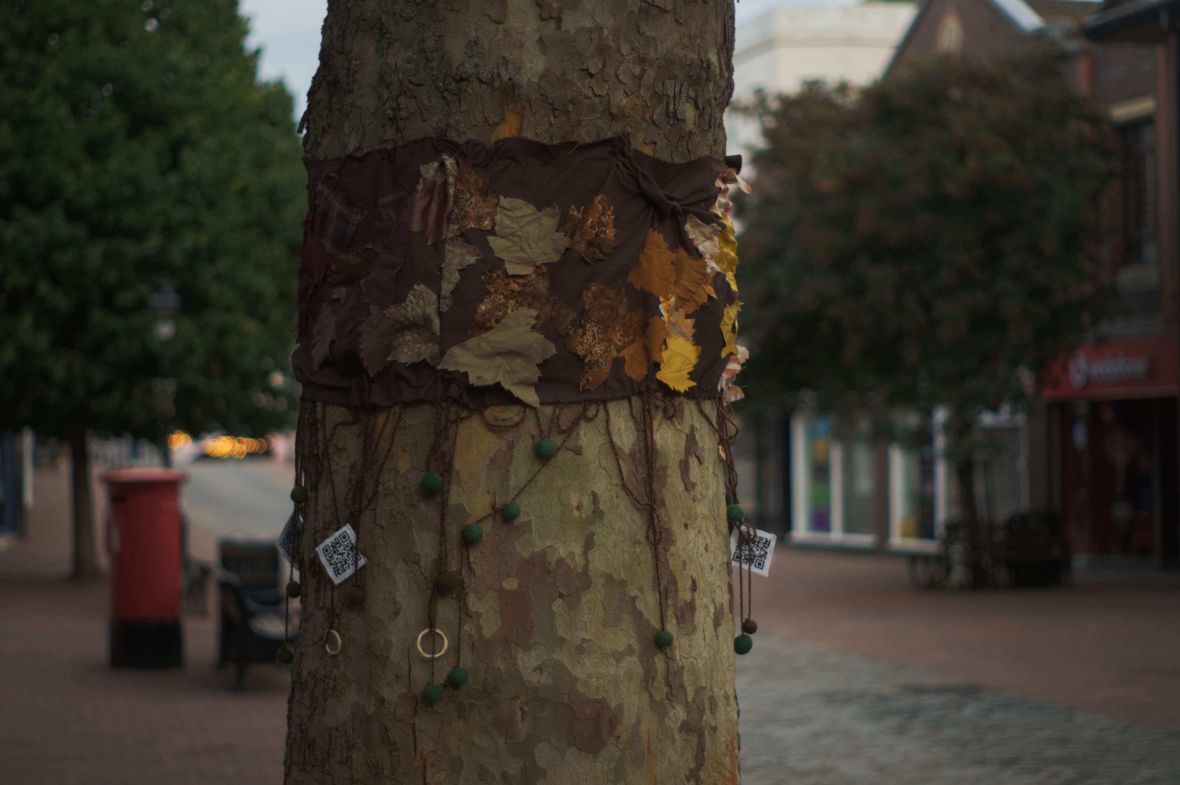 Autumn Swirl, image 1 of 9